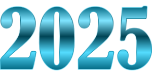 Lire la suite à propos de l’article Petit bilan de l’année 2025